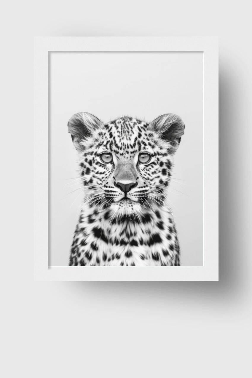 Fotografie Poster junger Leopard schwarz-weiß klar
