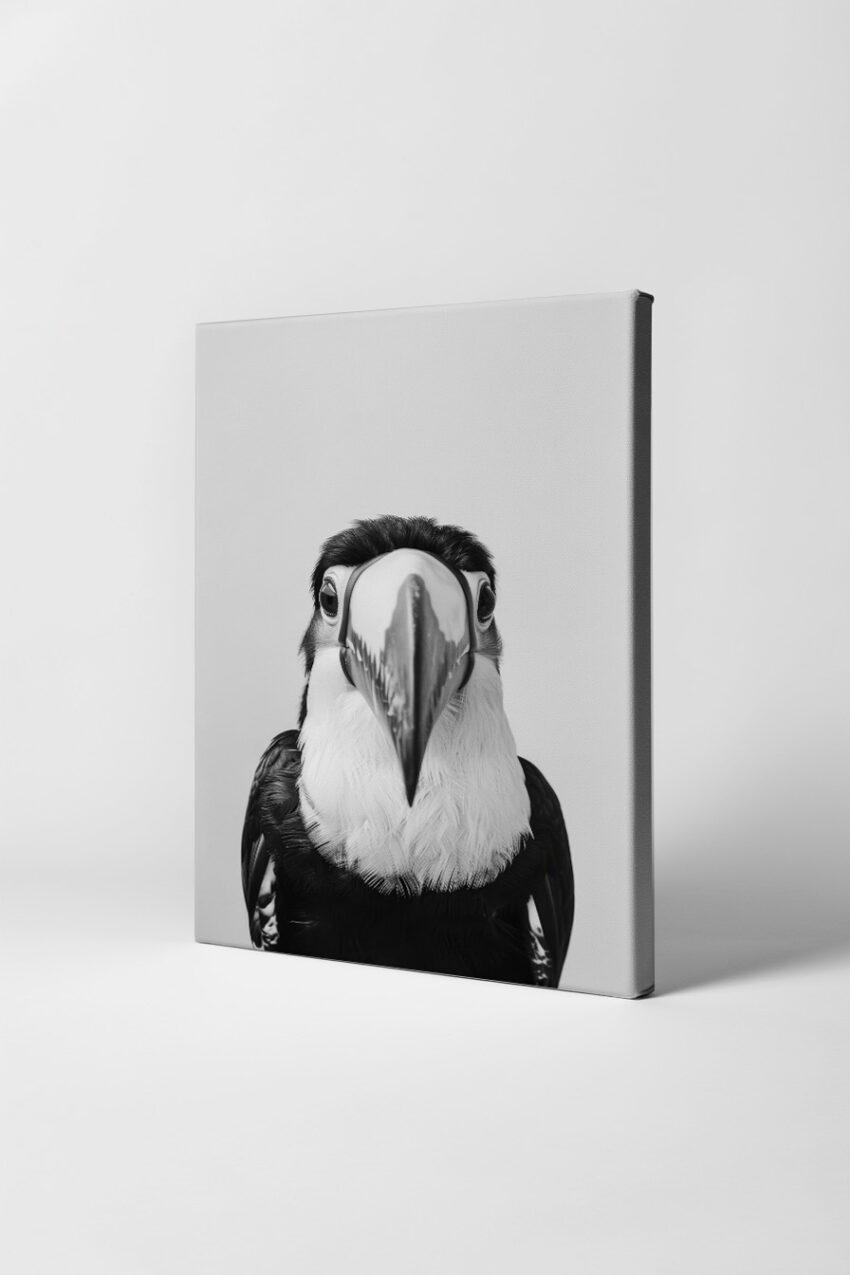 Fotografie Poster Tukan Kopf schwarz-weiß frontal