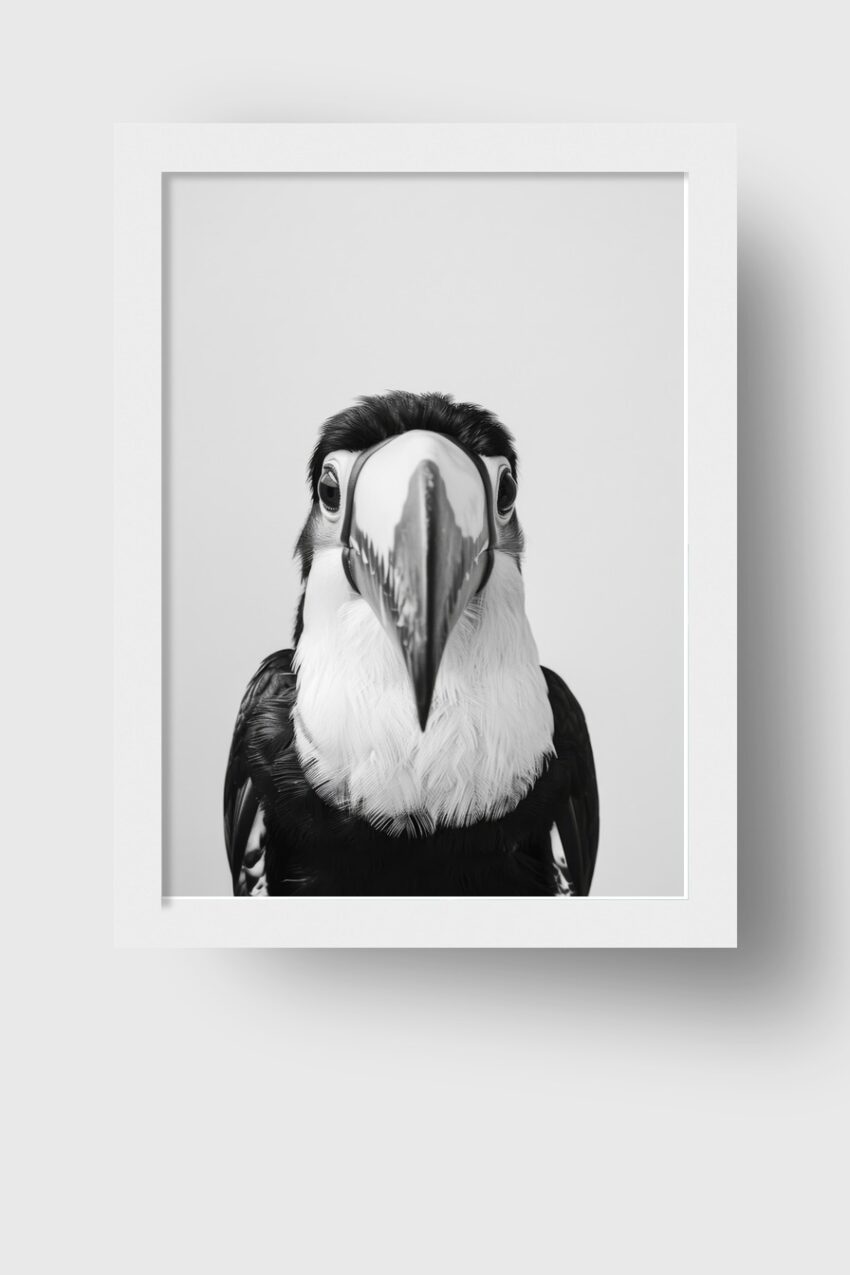 Fotografie Poster Tukan Kopf schwarz-weiß frontal