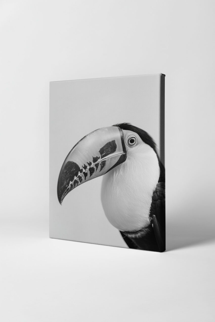 Fotografie Poster Tukan Schnabel Schwarz-Weiß Nahaufnahme