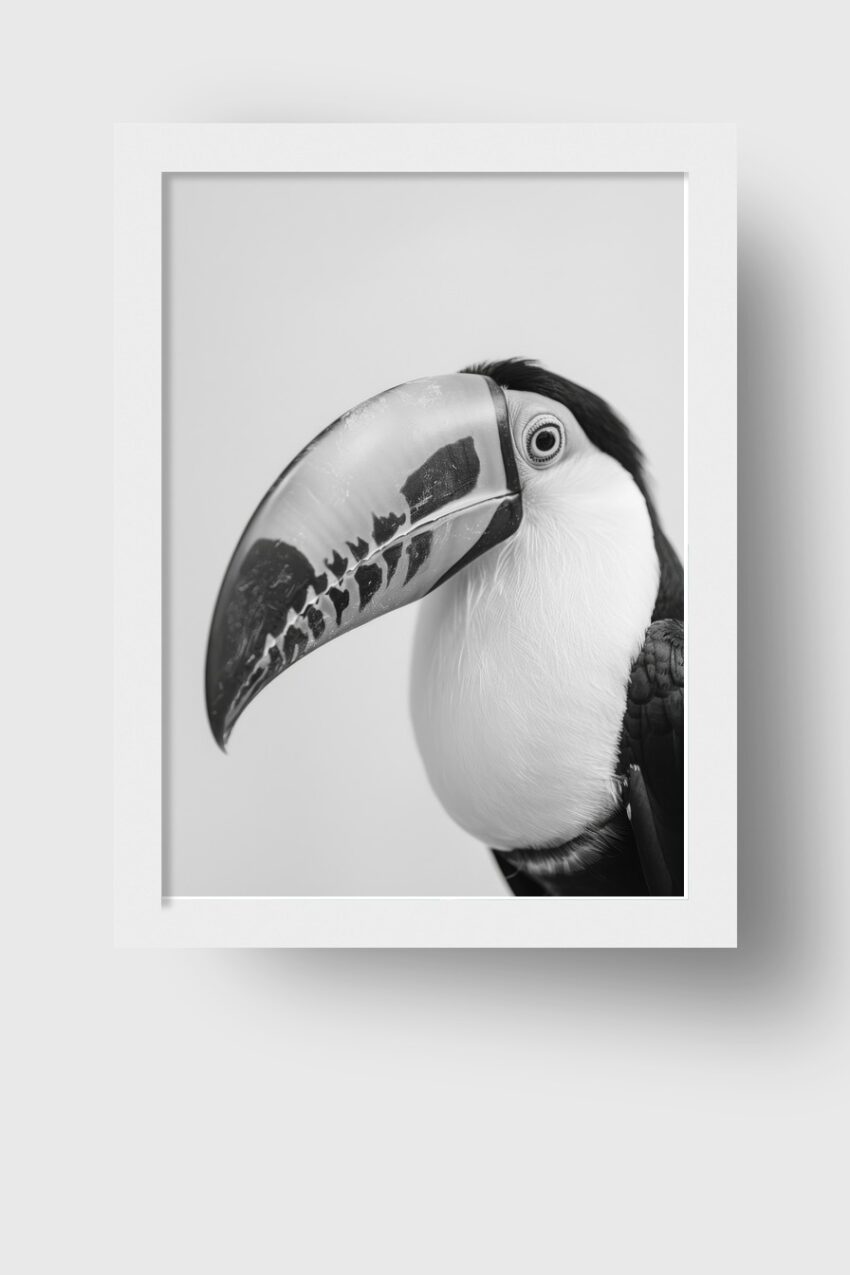 Fotografie Poster Tukan Schnabel Schwarz-Weiß Nahaufnahme