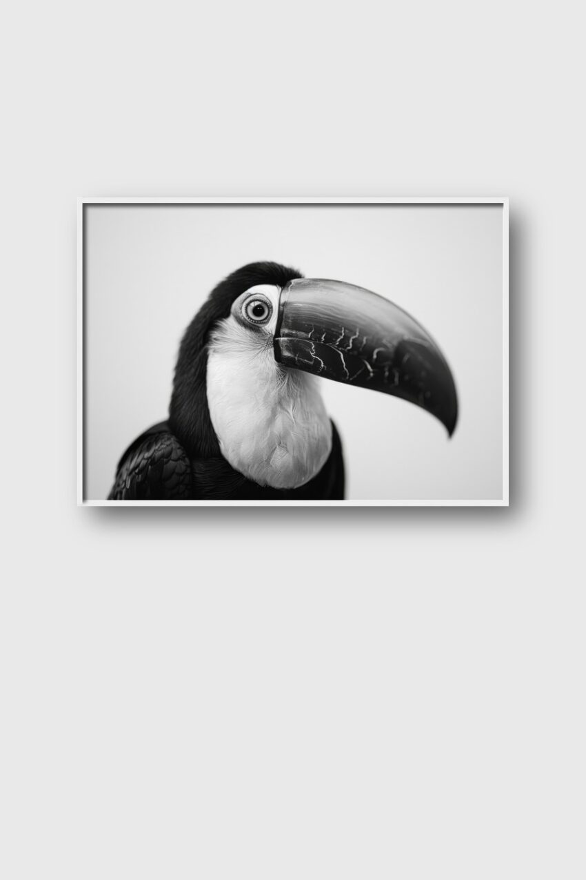 Fotografie Poster Tukan Schnabel schwarz-weiß Profil
