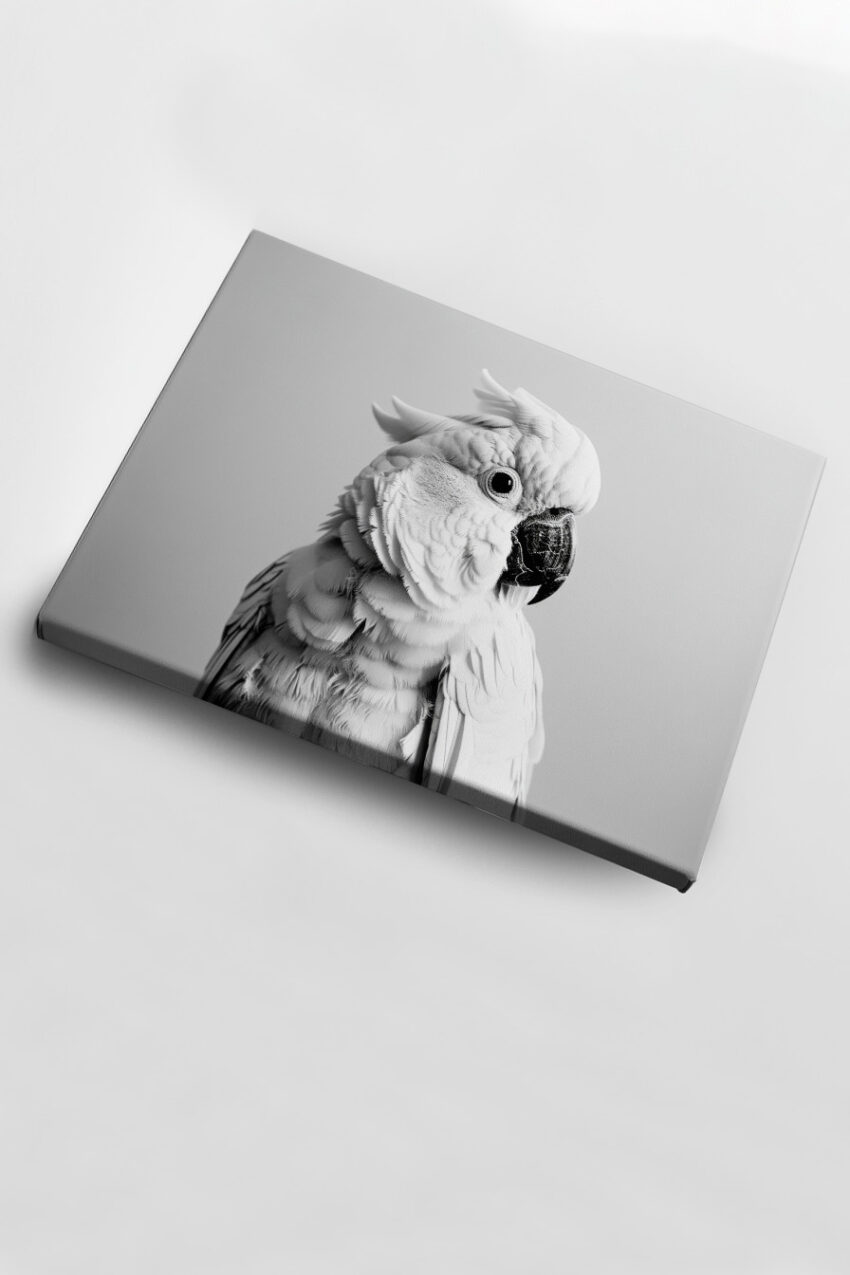 Fotografie Poster Kakadu Porträt schwarz-weiß detailliert