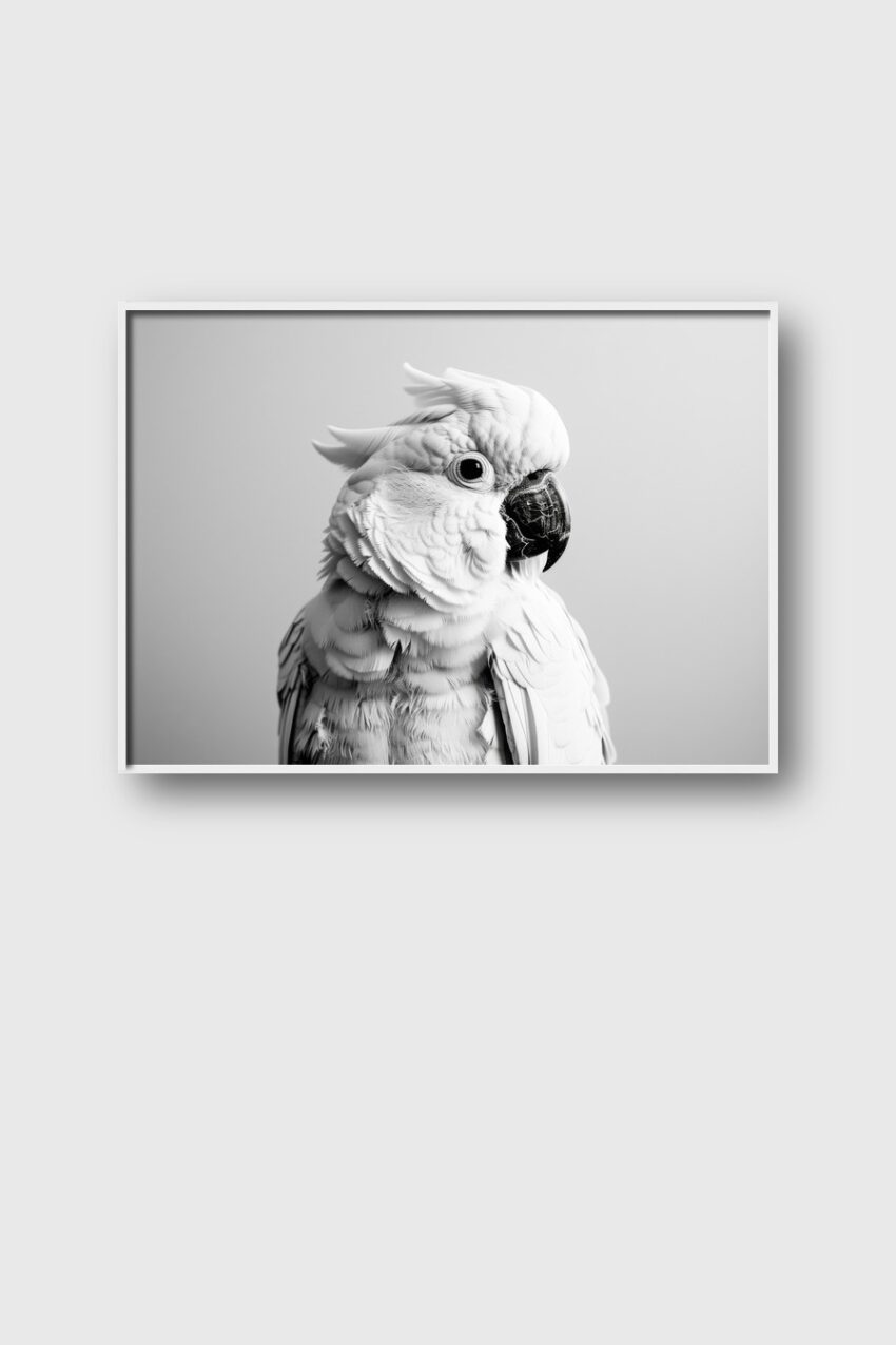 Fotografie Poster Kakadu Porträt schwarz-weiß detailliert