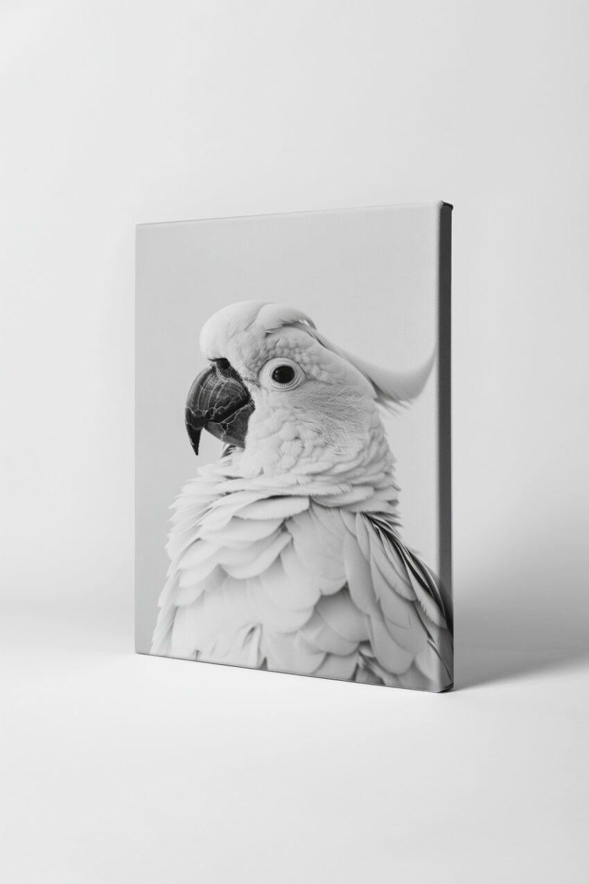 Fotografie Poster Kakadu Porträt schwarz-weiß fein detailliert