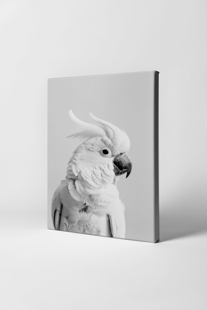 Fotografie Poster Kakadu Weiß elegant monochrom