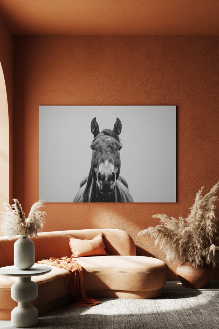 Fotografie Poster Pferd frontal schwarzweiß ruhig