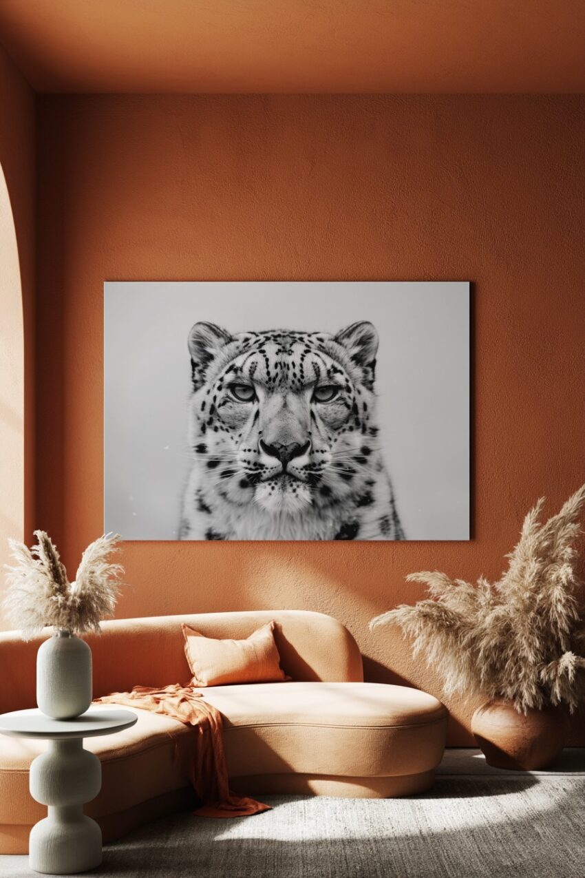 Fotografie Poster Schneeleopard Kopf schwarz-weiß Nahaufnahme