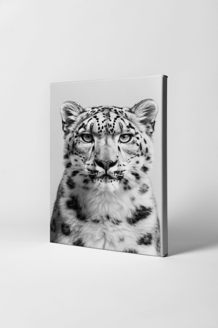 Fotografie Poster Schneeleopard schwarz-weiß frontal