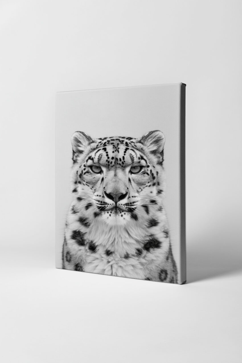 Fotografie Poster Schneeleopard schwarz-weiß frontal Blick