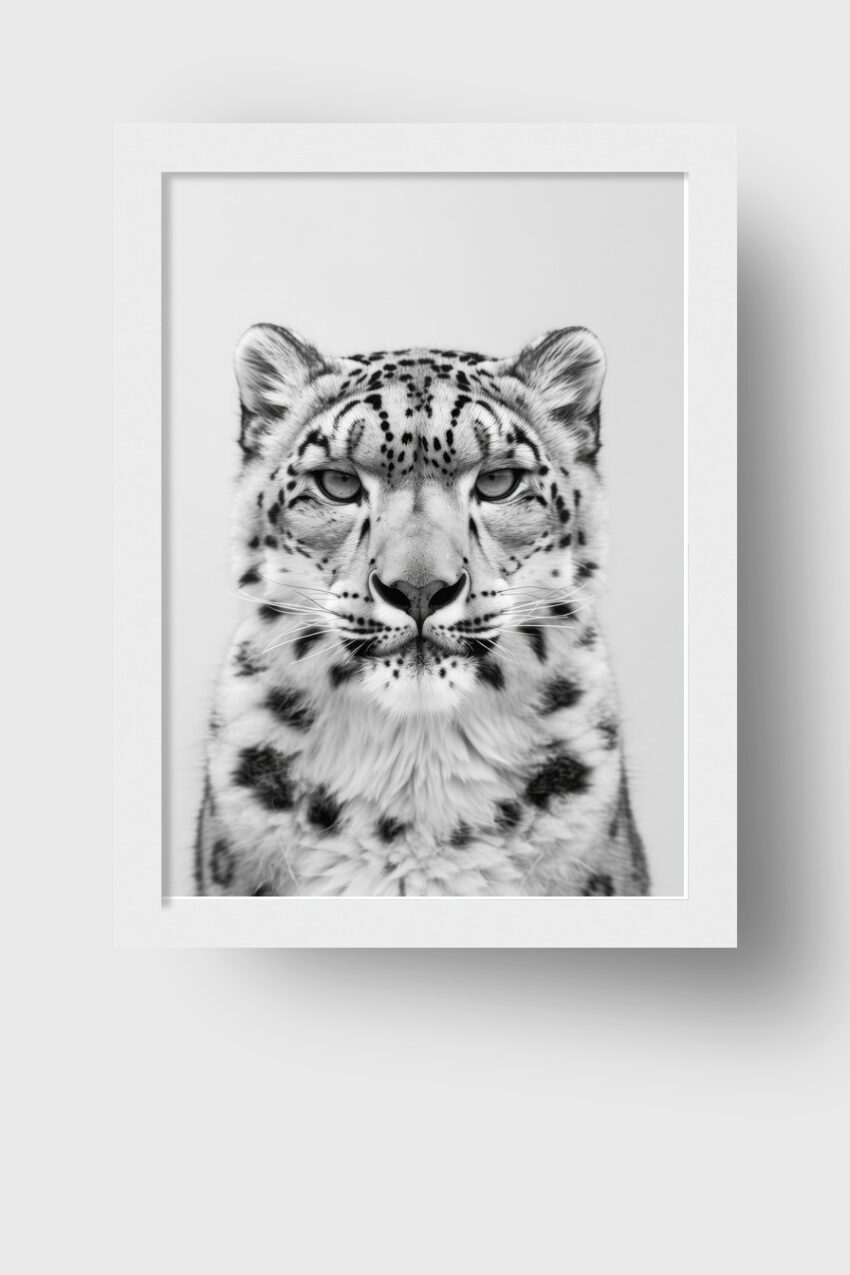 Fotografie Poster Schneeleopard schwarz-weiß frontal Blick
