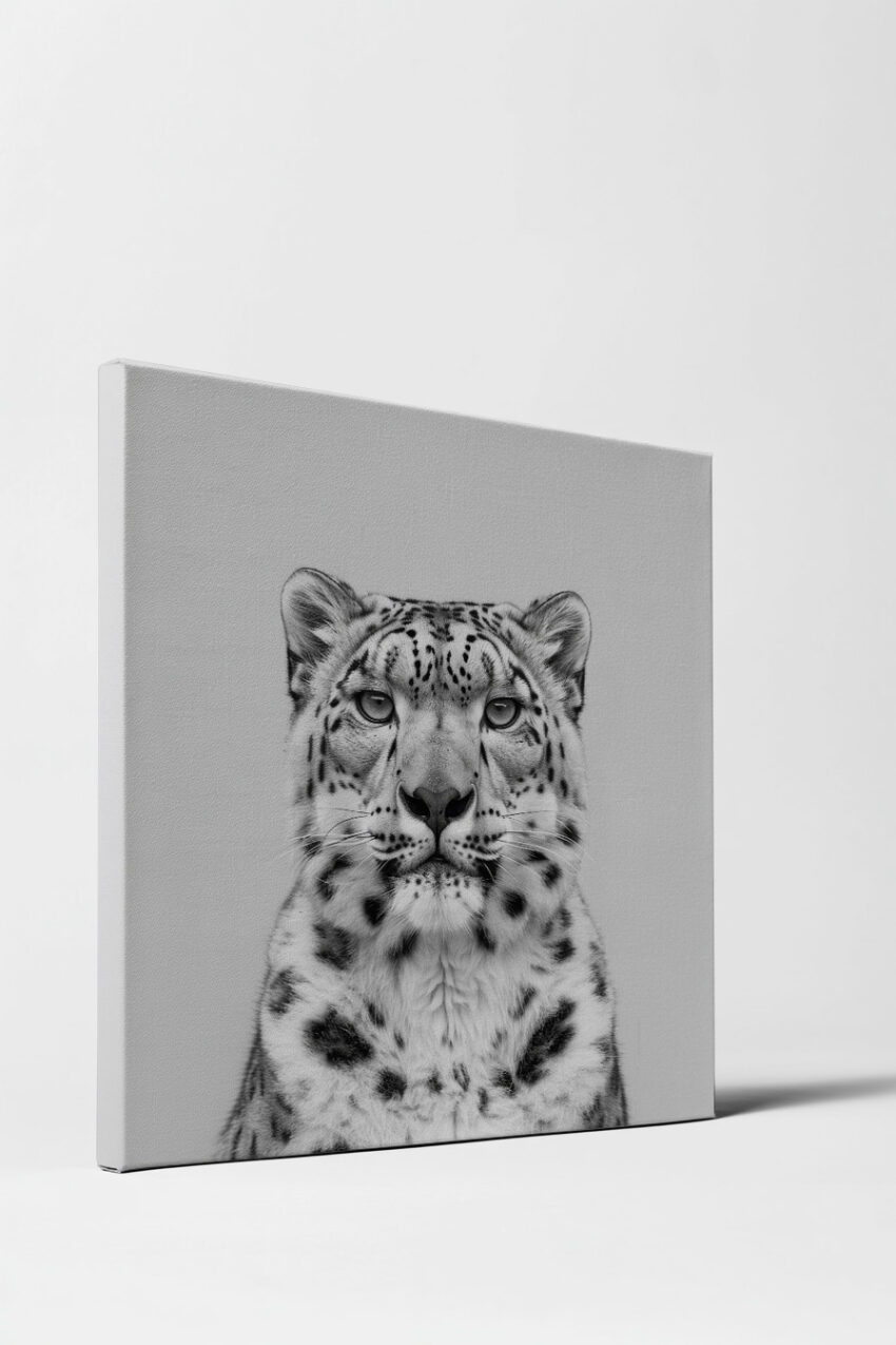 Fotografie Poster Schneeleopard schwarz-weiß frontal