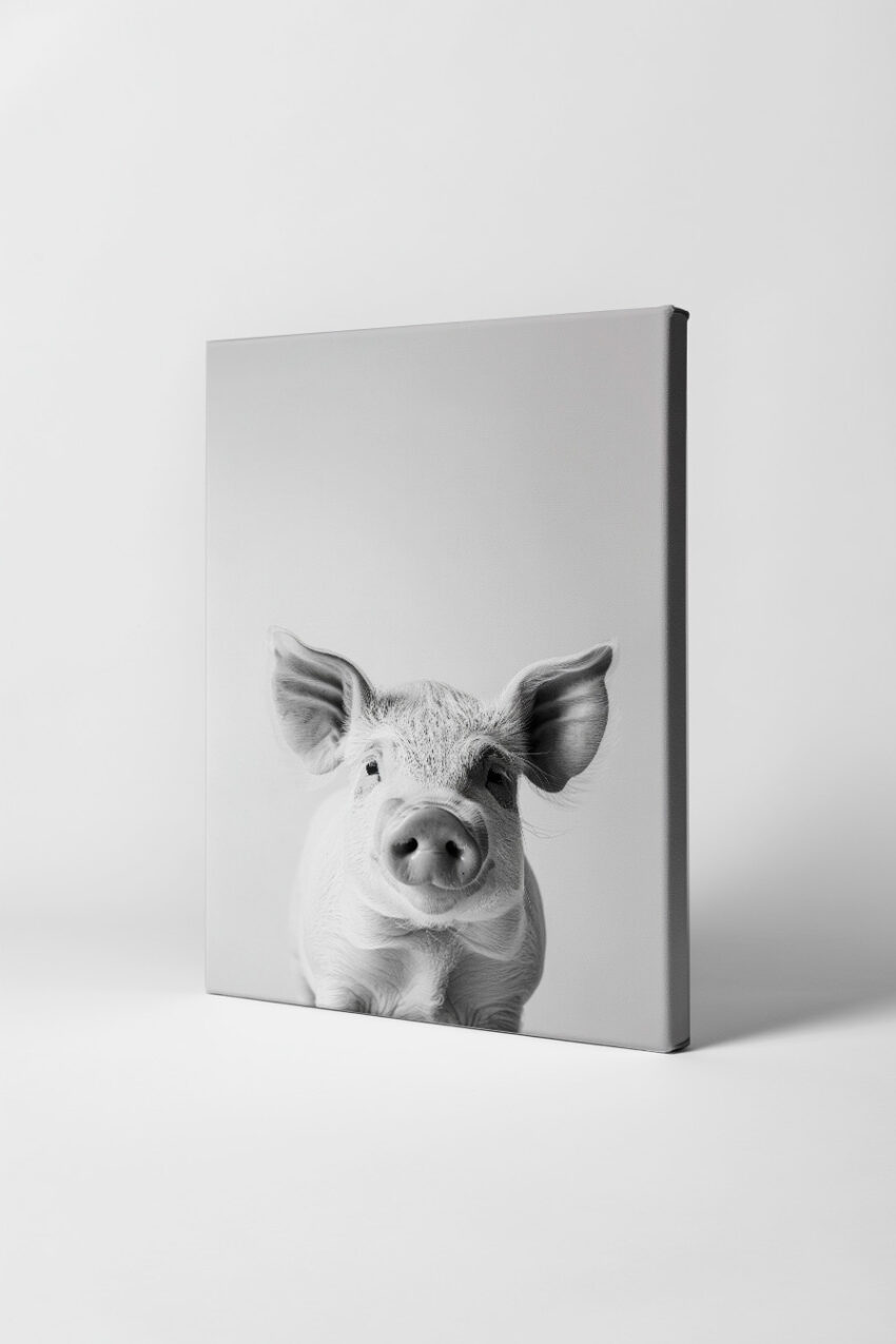 Fotografie Poster Schwein Nase Nah schwarz-weiß