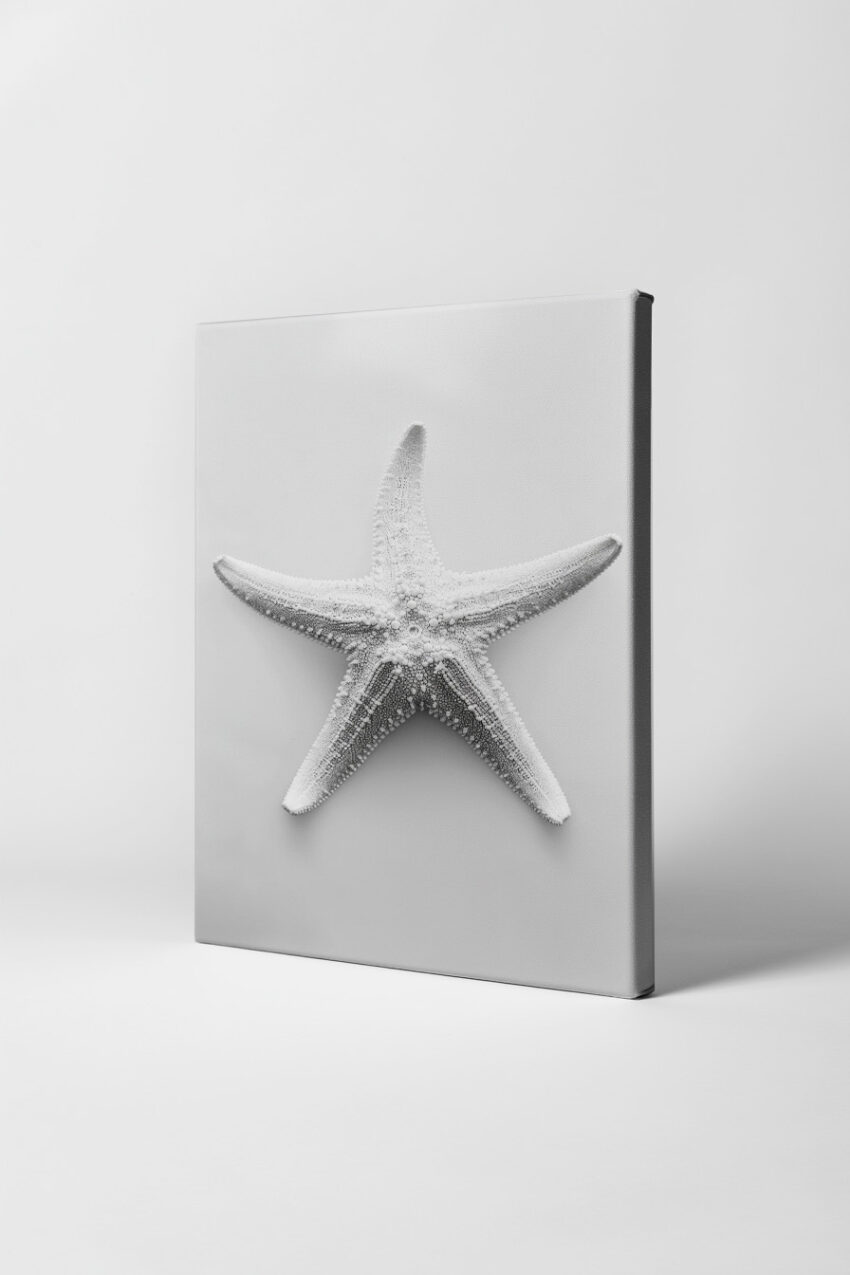 Fotografie Poster Seestern Nahaufnahme monochrom weiß