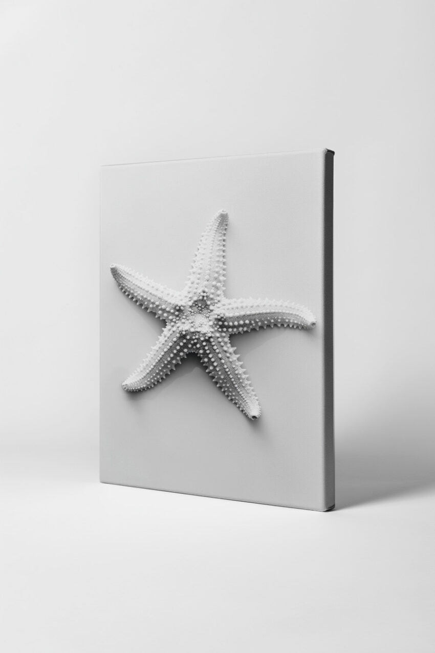 Fotografie Poster Seestern Struktur Detail weiß