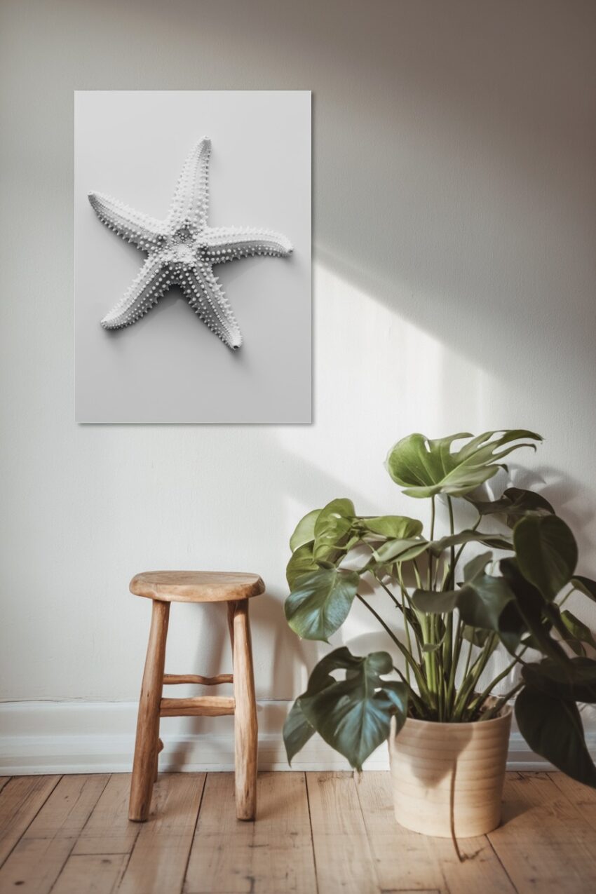 Fotografie Poster Seestern Struktur Detail weiß