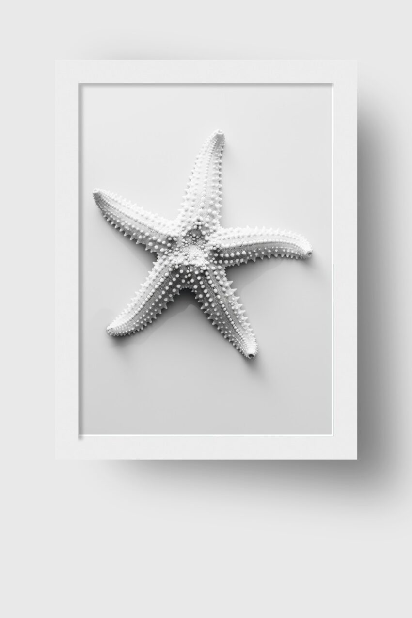 Fotografie Poster Seestern Struktur Detail weiß