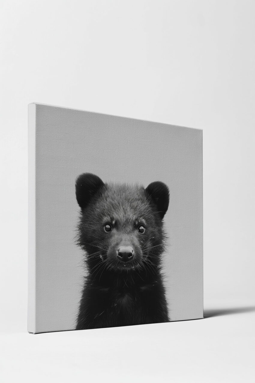 Fotografie Poster Tatzelwurm schwarz-weiß Nahaufnahme Porträt