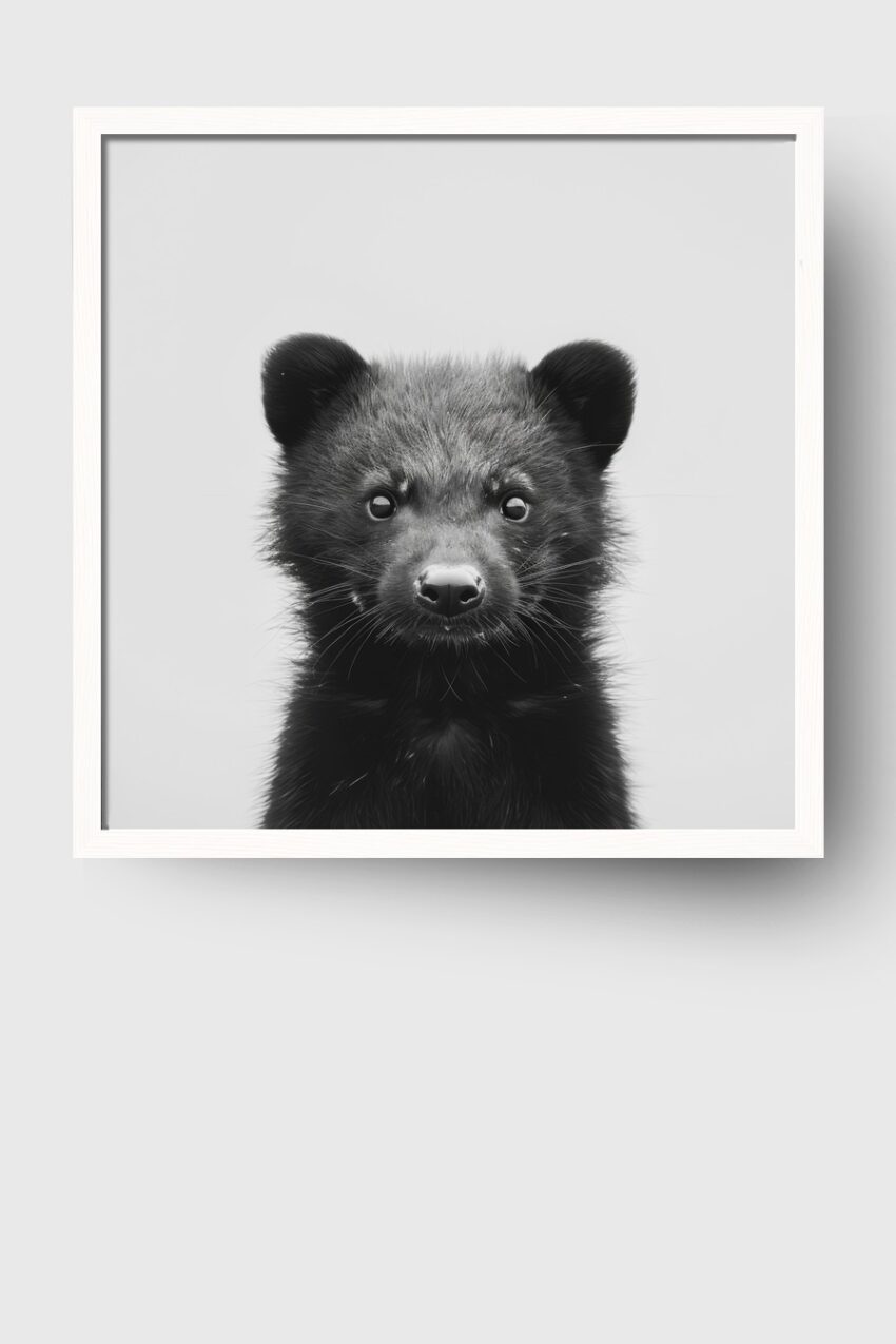 Fotografie Poster Tatzelwurm schwarz-weiß Nahaufnahme Porträt