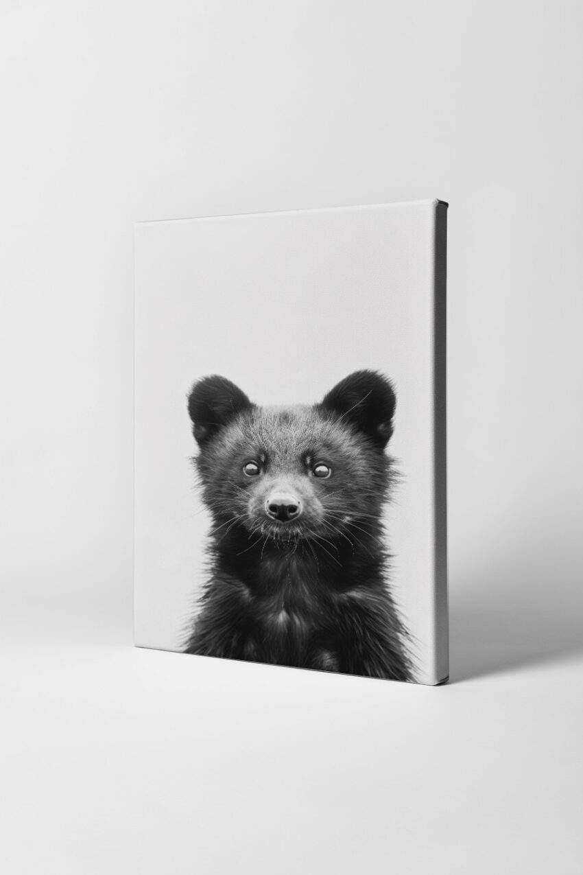 Fotografie Poster Marderhund Porträt schwarz-weiß nah