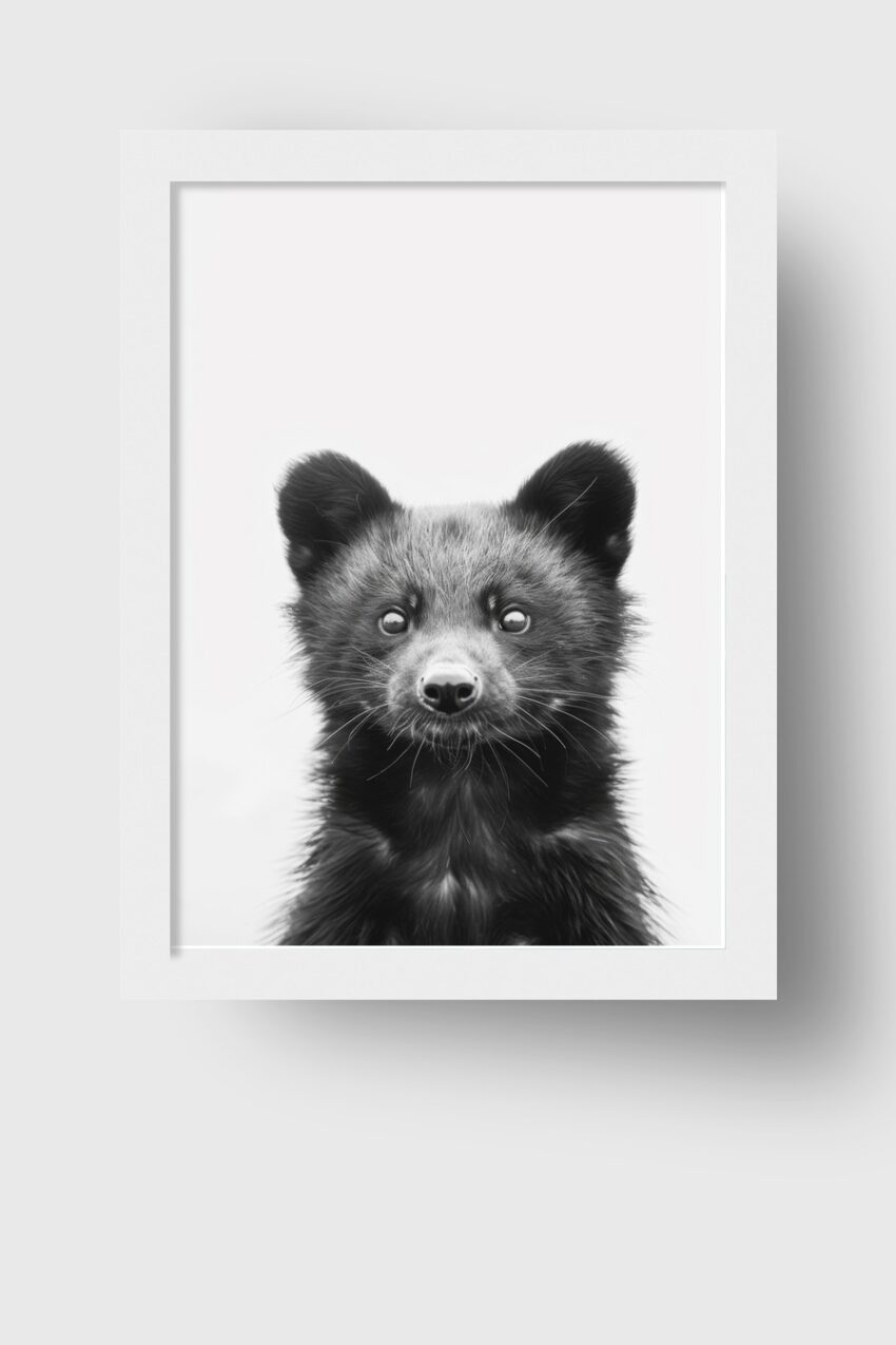 Fotografie Poster Marderhund Porträt schwarz-weiß nah