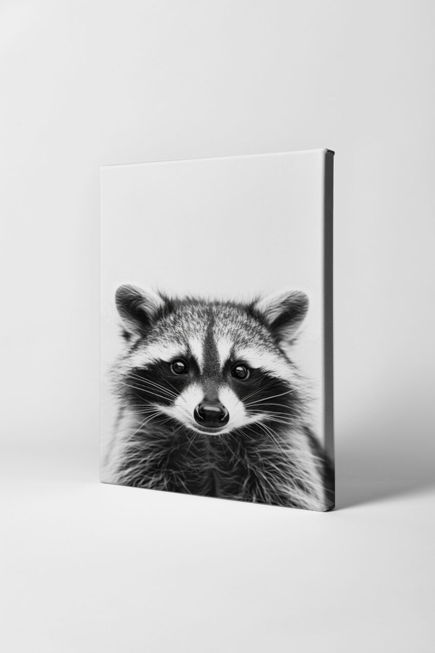 Fotografie Poster Waschbär Nase Nah schwarz-weiß