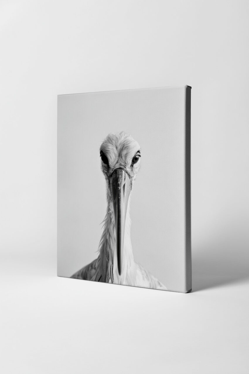 Fotografie Poster Storch Kopf frontal schwarz-weiß minimalistisch