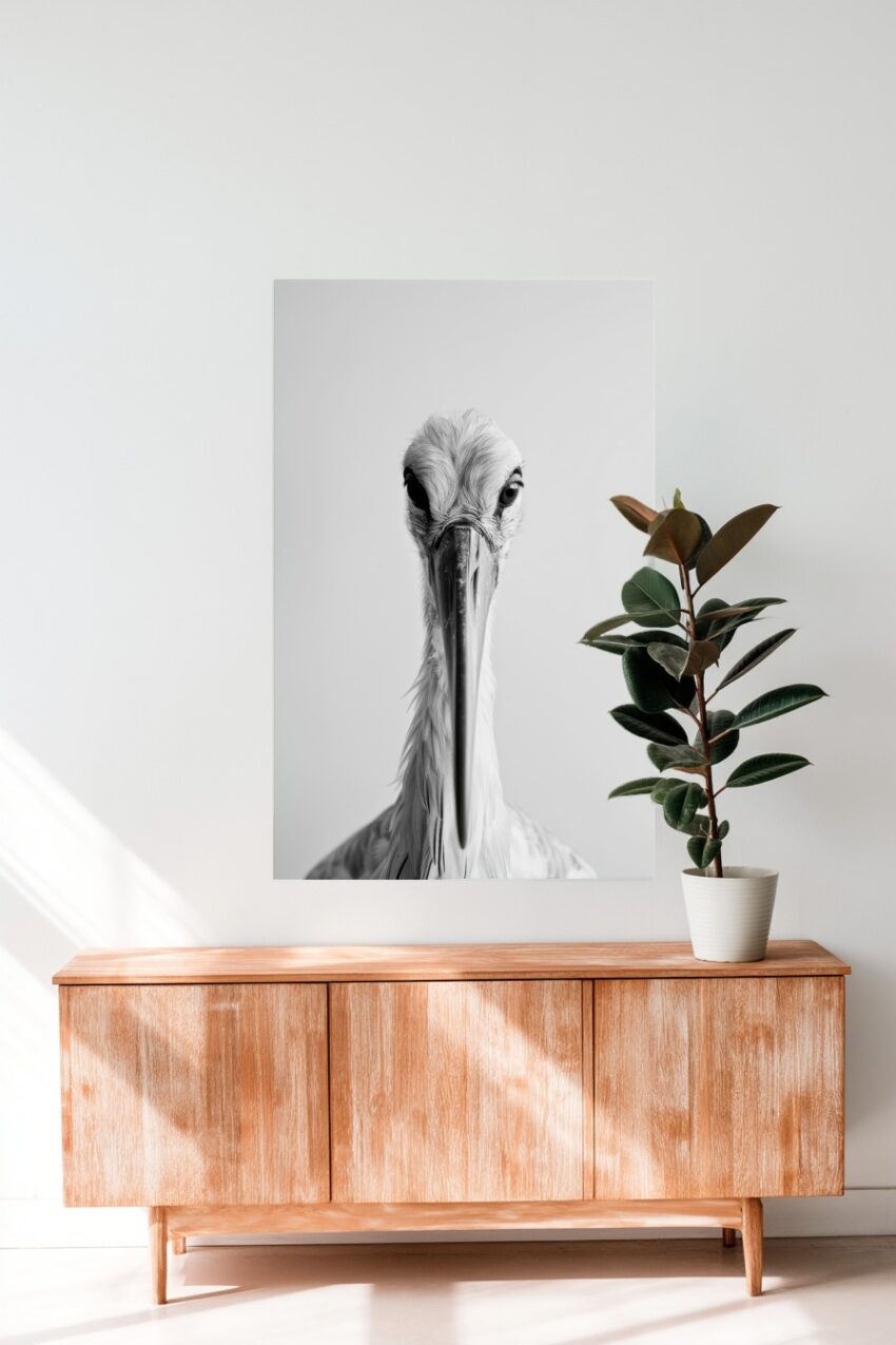 Fotografie Poster Storch Kopf frontal schwarz-weiß minimalistisch