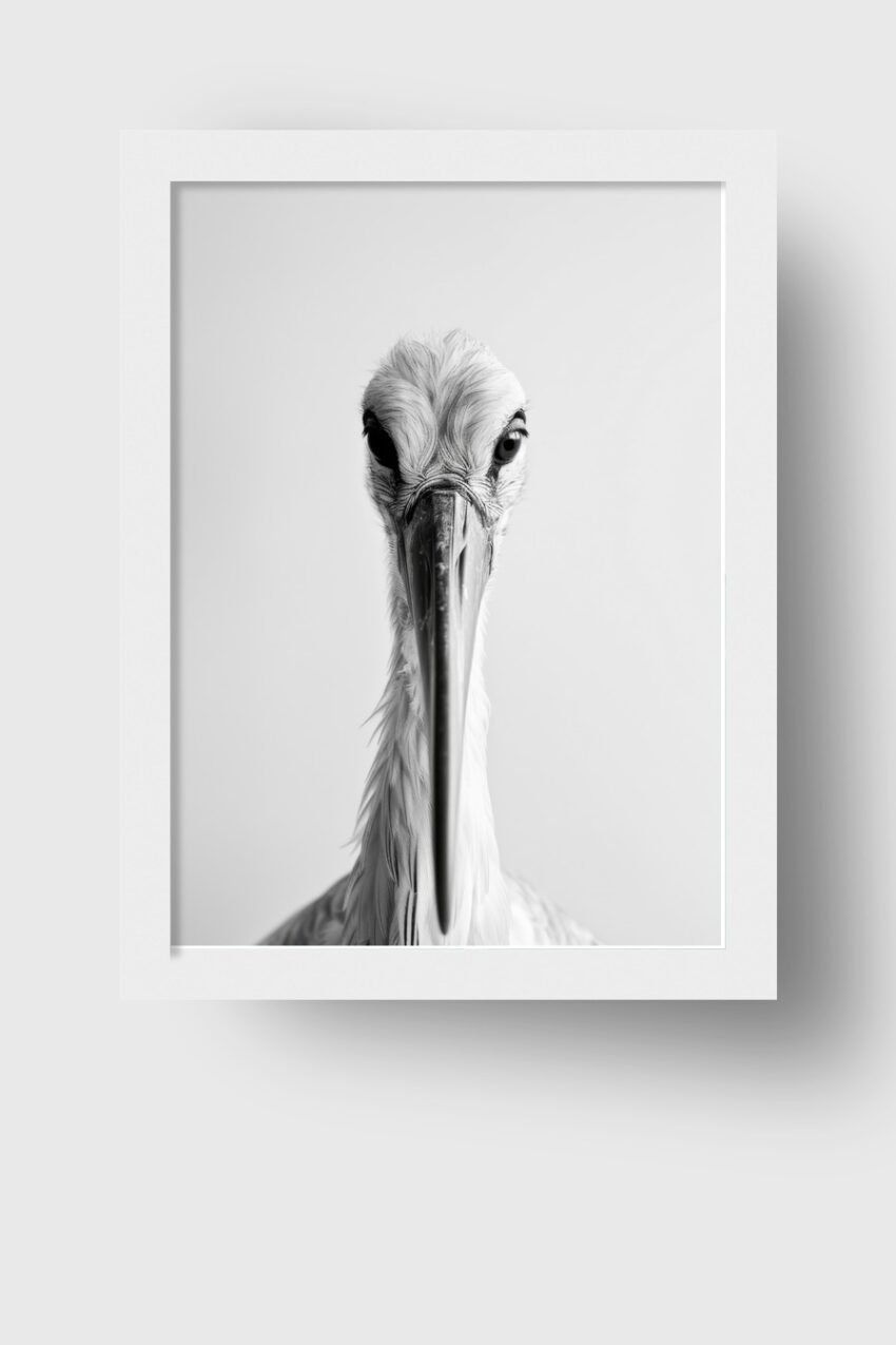 Fotografie Poster Storch Kopf frontal schwarz-weiß minimalistisch