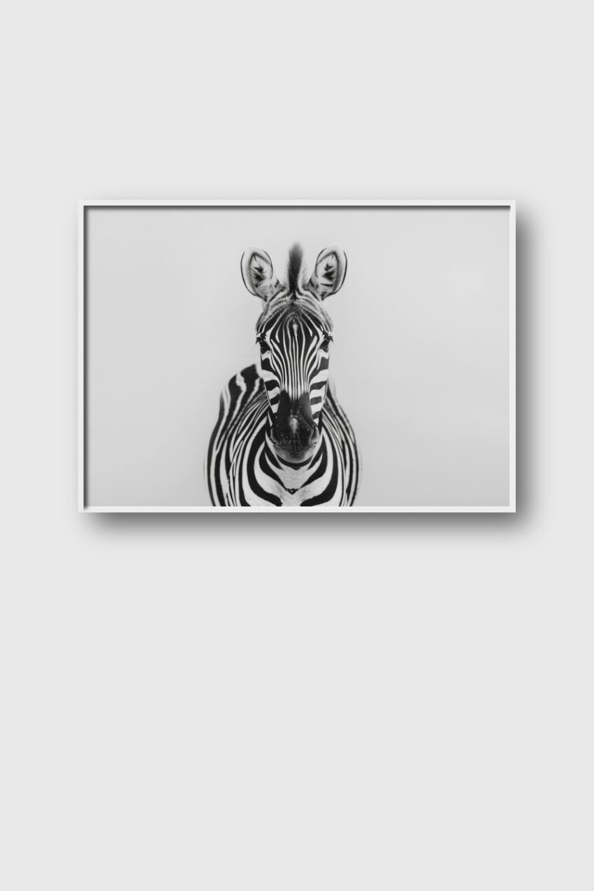 Fotografie Poster Zebra frontal Schwarz-Weiß markant