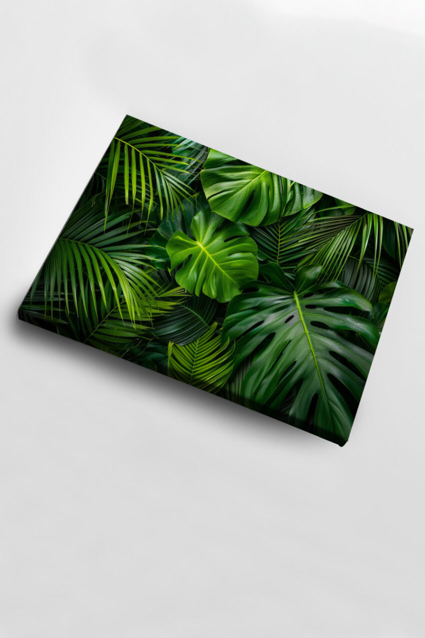 Fotografie Poster Monstera Blätter grün tropisch