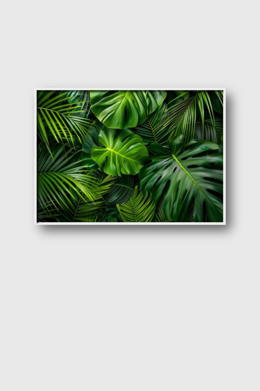 Fotografie Poster Monstera Blätter grün tropisch