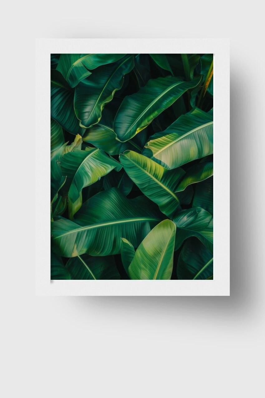 Fotografie Poster Bananenblatt grün tropisch nahaufnahme