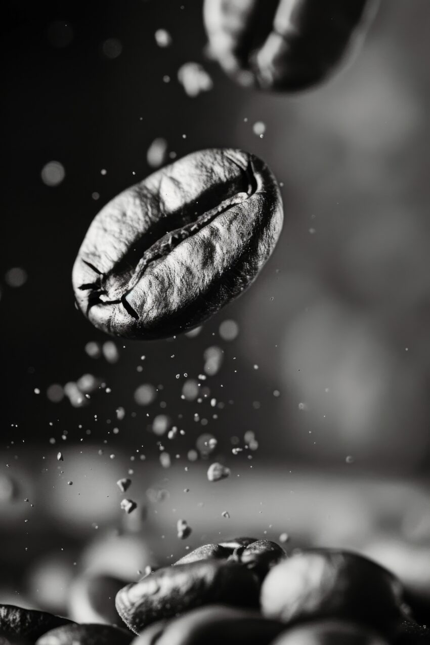 Fotografie Poster Kaffeebohne Nahaufnahme schwarz-weiß