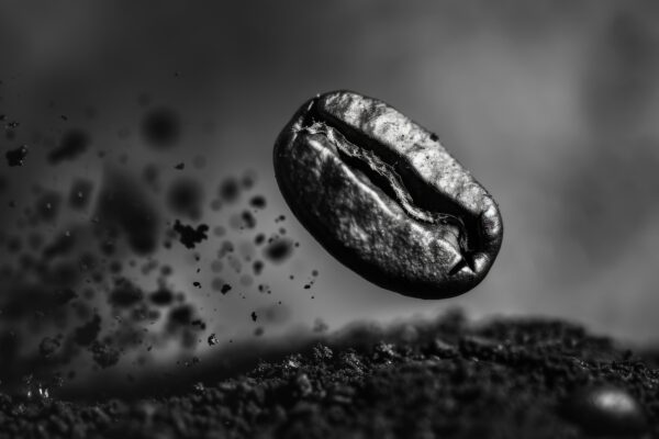 Kaffeebohne Leinwandbild