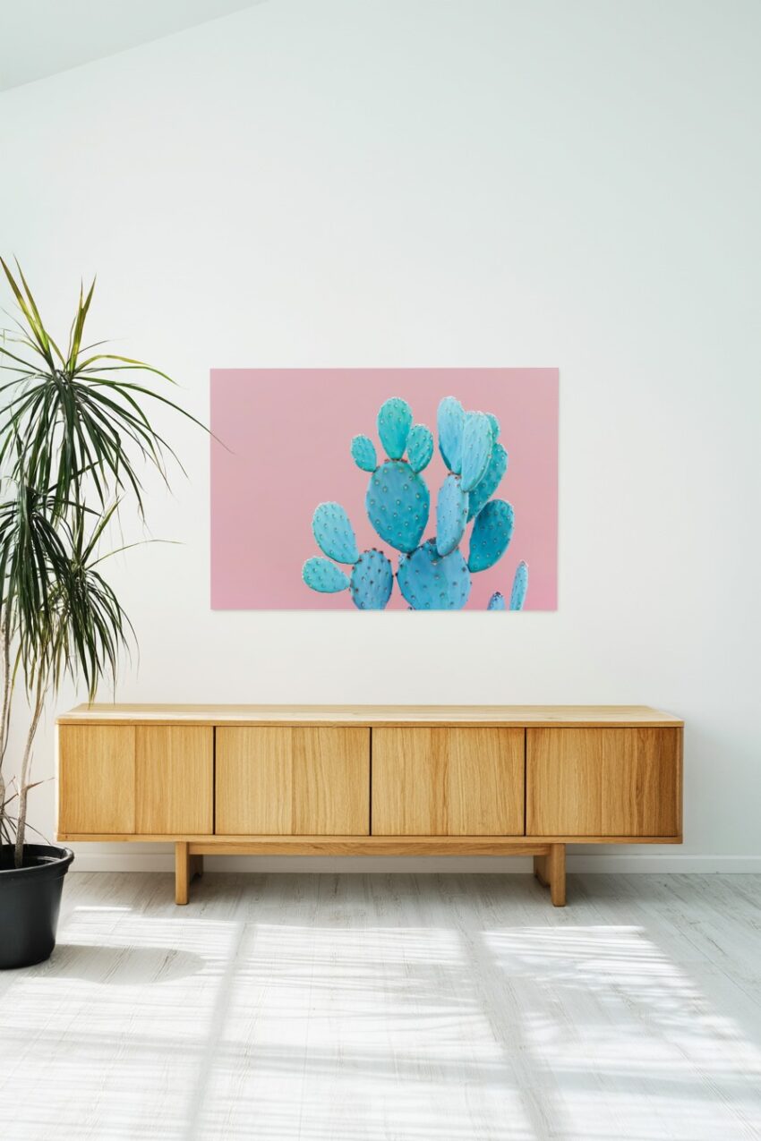 Fotografie Poster Kaktus stachelig türkis rosa