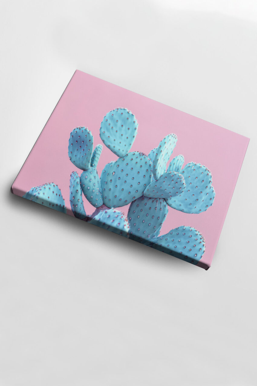 Fotografie Poster Kaktus blau pastellrosa minimalistisch