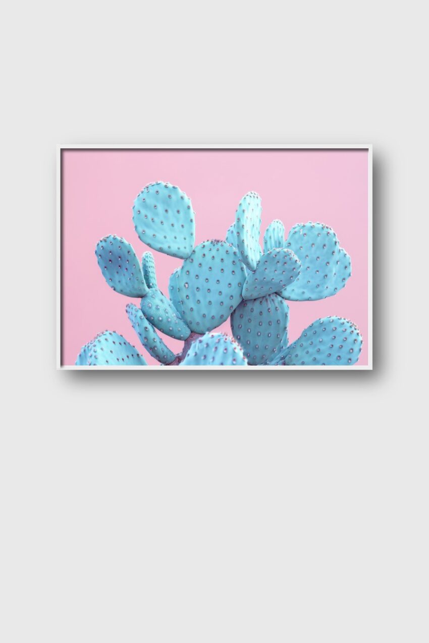 Fotografie Poster Kaktus blau pastellrosa minimalistisch