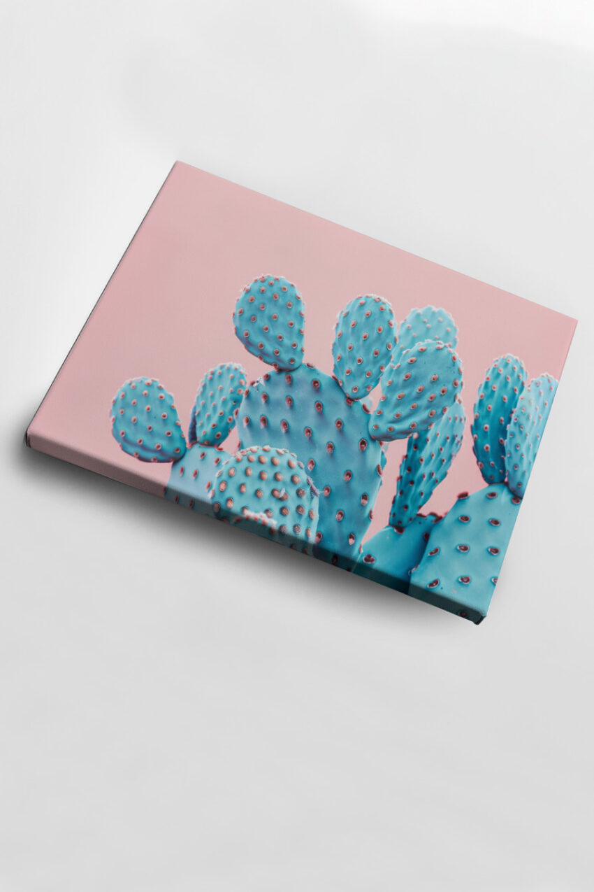 Fotografie Poster Kaktusblätter blau pastell minimalistisch