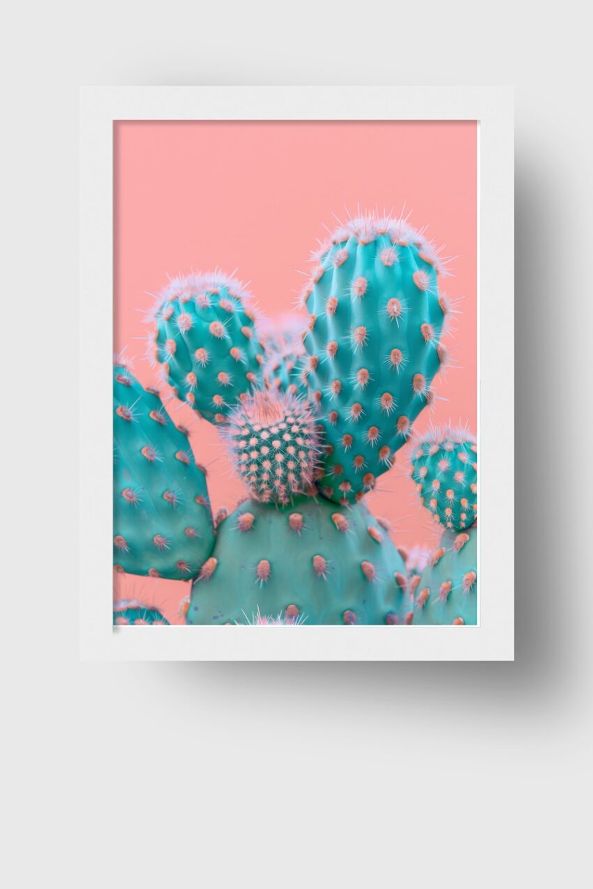 Fotografie Poster Kaktus türkis rosa Stacheln