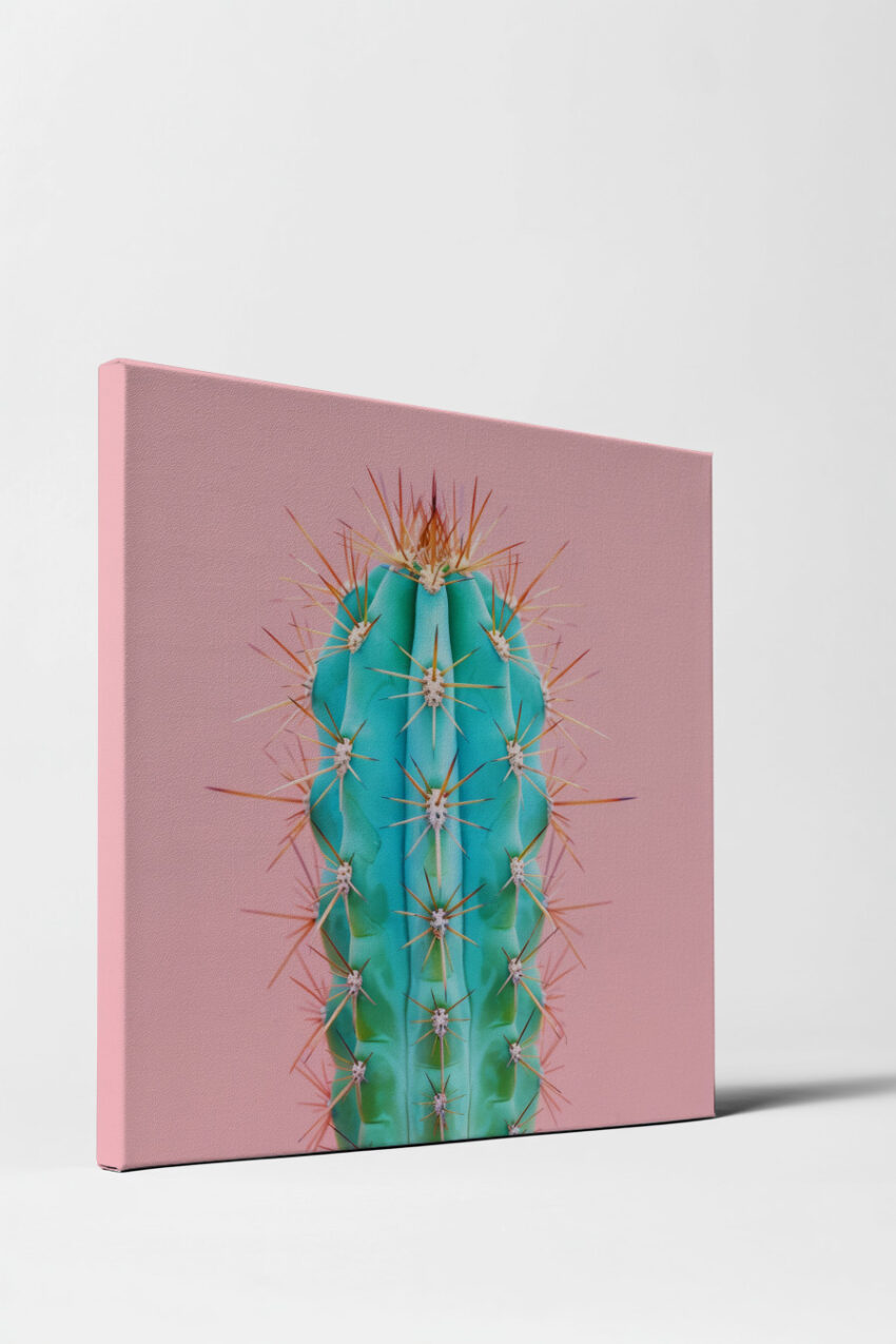 Fotografie Poster Kaktus türkis rosa minimalistisch