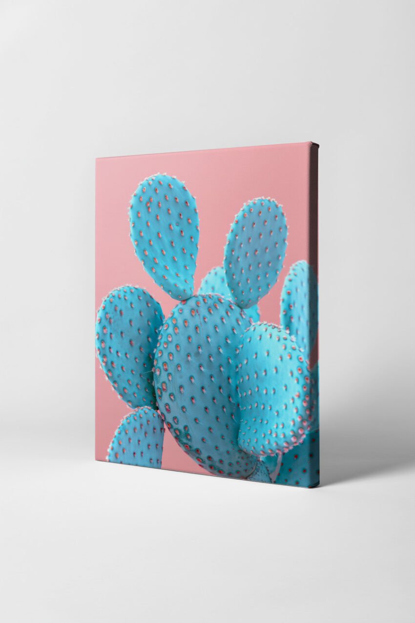 Fotografie Poster Kakteen blau minimalistisch