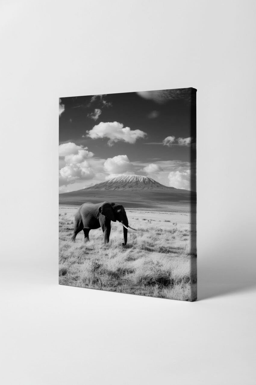 Fotografie Poster Elefant Vulkan schwarz-weiß ruhig