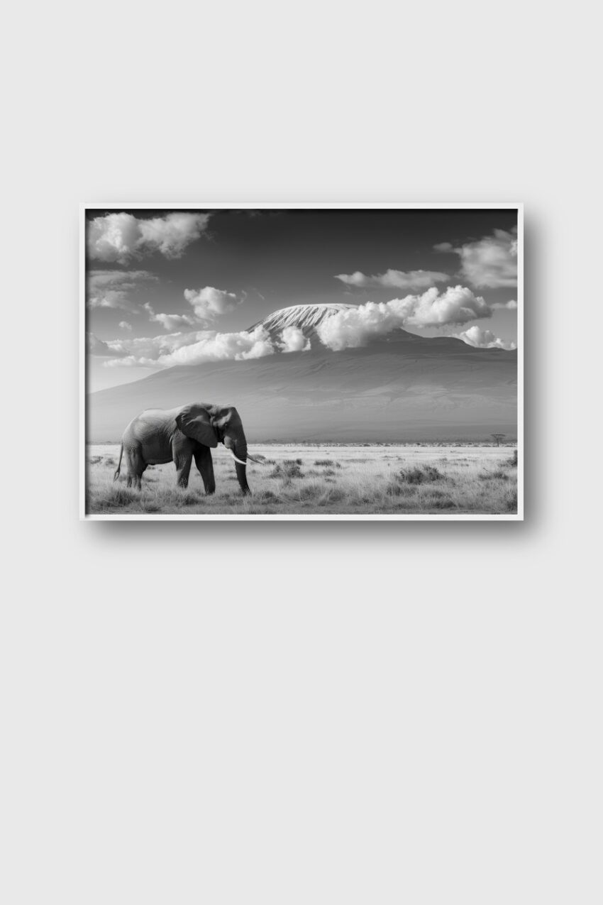 Fotografie Poster Elefant schwarz-weiß Graslandschaft