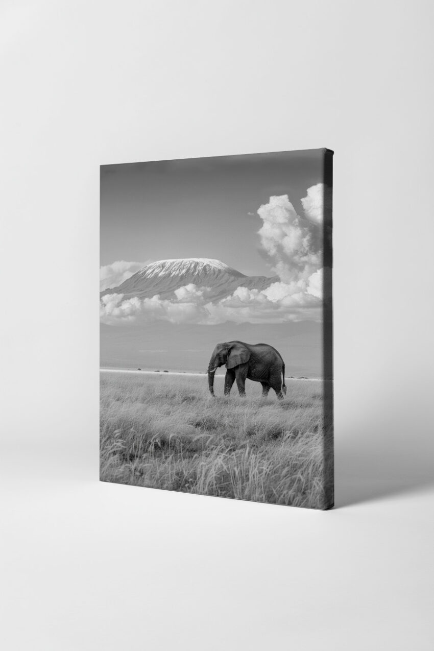 Fotografie Poster Elefant Schneeberg schwarz-weiß