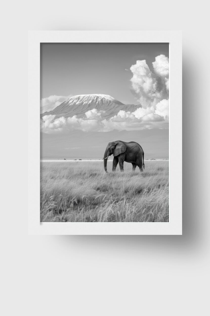 Fotografie Poster Elefant Schneeberg schwarz-weiß