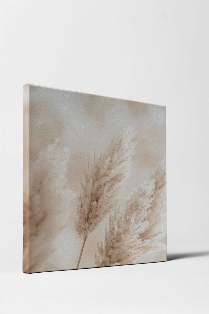 Fotografie Poster Pampasgras zart beige