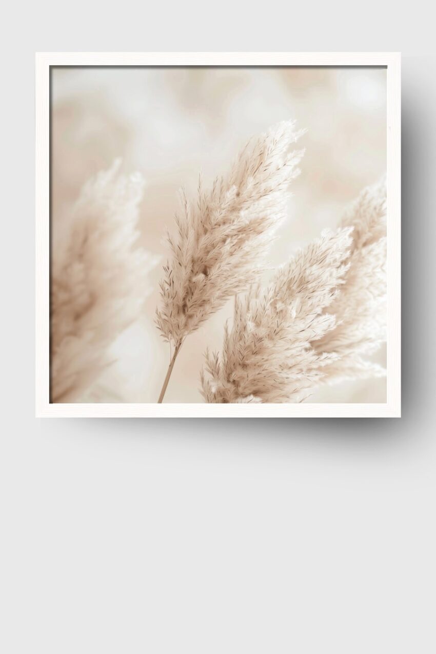 Fotografie Poster Pampasgras zart beige