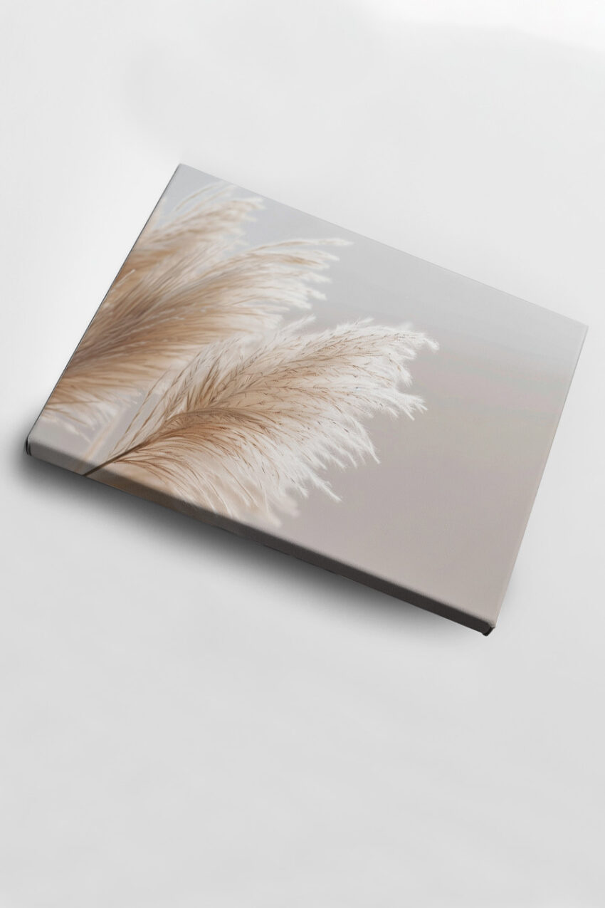 Fotografie Poster Pampasgras Detail weich hell