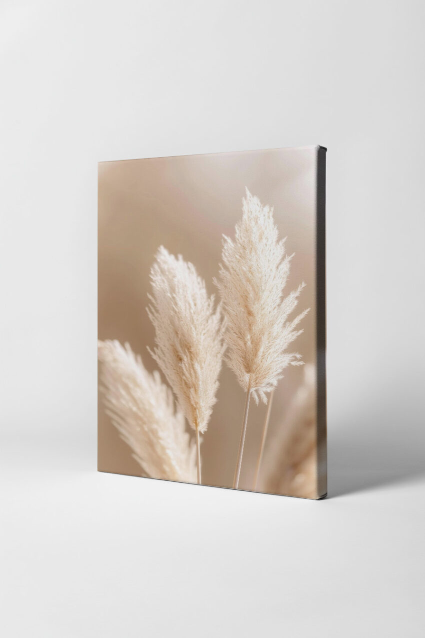 Fotografie Poster Pampasgras beige minimalistisch